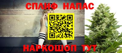 крисы Долгопрудный
