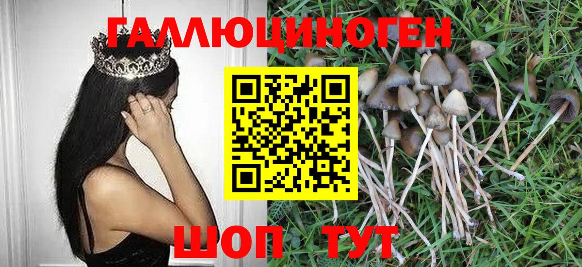 Надым  Псилоцибиновые грибы Psilocybe  Галлюциногенные грибы Psilocybine cubensis  Вход с VPN 